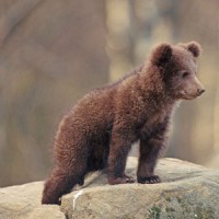 /album/fotogaleria-inicio/a9000000-jpg/